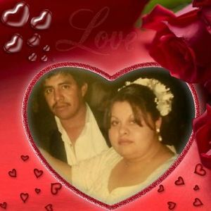 Meet your Posher, Perla